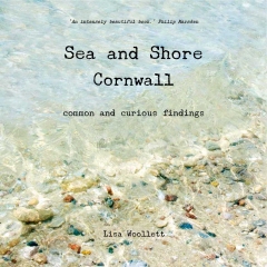 Sea and Shore