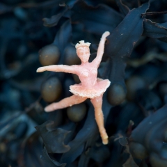 Washed up music box dancer