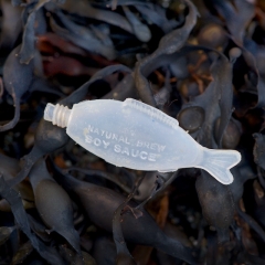 Plastic soy sauce fish