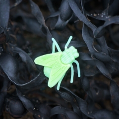 Life-size plastic fly