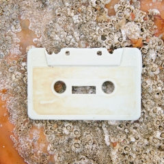 Casette tape