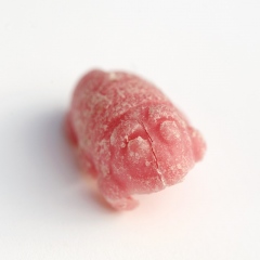 Bed bug from the 1980s game 'Bed Bugs'