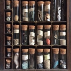 Cabinet of finds from making 'Sea & Shore Cornwall'