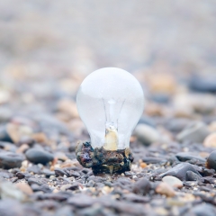 Light bulb found on the Thames estuary