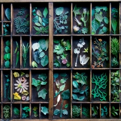 Artificial plants found on Cornish beaches