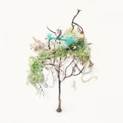 Pink sea fans tangled with synthetic debris