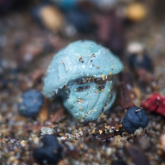Army man head 1