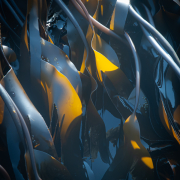 Oarweed, Spring Tide