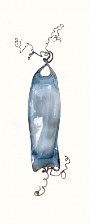 Mermaids Purse Dogfish 2