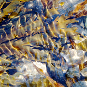 Saw Wrack