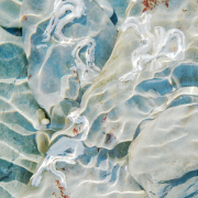 Slate Pebbles Keelworm Tubes