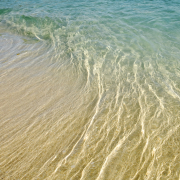 Sunlit Shallows