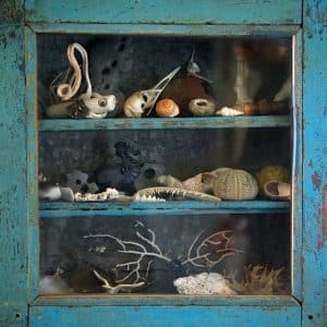 Rag & Bone: the book & museum